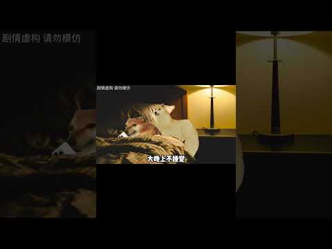 大家看看我这个借口好吗？ #cheems #搞笑 #校园生活 thumbnail