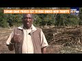 US Tariffs Hit South African Sugar Industry | 300,000 Jobs At Risk | News9  - 03:05 min - News - Video