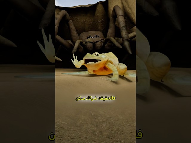 الضفدع صديق العنكبوت 🥳 #shortvideo