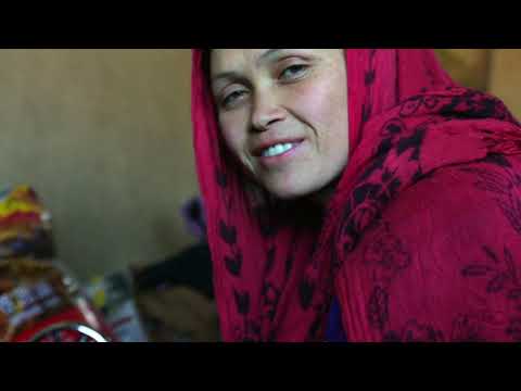 My Childhood, My Country: 20 Years in Afghanistan'
