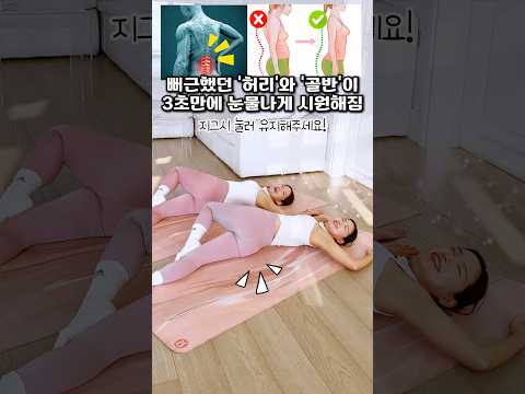 3초만에 뻐근했던 골반과 허리가 눈물나게 시원해짐 #극락스트레칭 #스트레칭