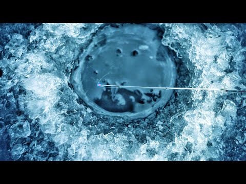 ПОД ЛУНКАМИ КИПИТ ЖИЗНЬ. БЕЗМОТЫЛКА. СОРЕВНОВАНИЯ