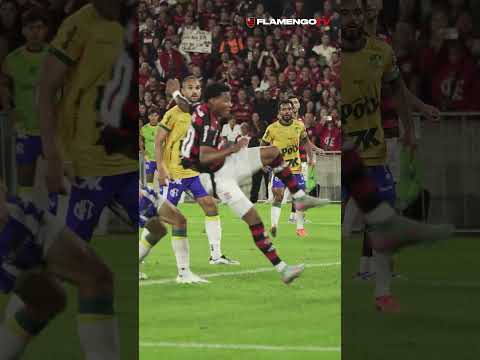 ARRASCA MODO MAGO ATIVADO 🎩🪄🧙 #flamengo #flamengotv