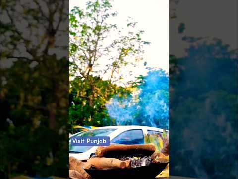 "ਸਾਵਣ ਦੀ ਮਿਠਾਸ | Monsoon Vibes in Punjab 🌧️💚 #shorts