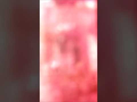 #natural #tourmaline #crystals #rocks #gems #gemstones #gemstone #jewelry #jewellery #preciousstones