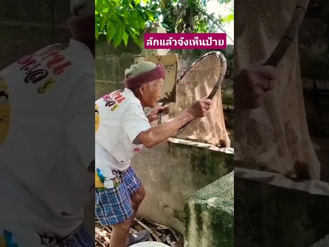 ลักแล้วจังเห็นป้าย - เมตตาชาแนล29 #funny #ตลก
