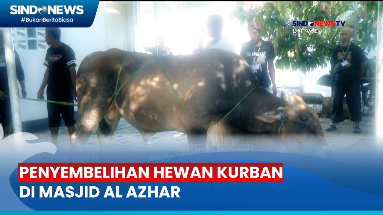 Penyembelihan Hewan Kurban di Masjid Al Azhar - Sindo Today 18/06