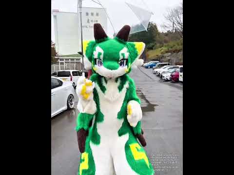 【fursuit】I still go out, even on rainy days! (kemono furry)