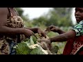 Returning Congo farmers struggle to revive rebel-held fields | REUTERS  - 02:03 min - News - Video