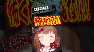 武器があれば最強💪 #サイレントヒルf #vtuber #shorts