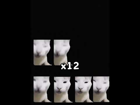 猫の動画サムネイル - 多重大司猫笑声纯享版#有趣 #猫meme #猫meme剧场 #猫meme小剧场 #内容过于真实  #故事 #貓 #猫猫meme小剧场 #喵不可言