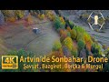 Sonbahar da Artvin Turkey (4k Ultra HD) Drone By Aslan özcan