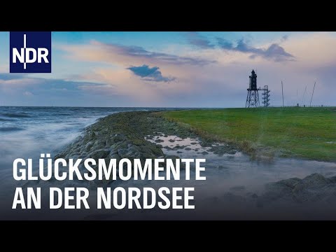 Surfen, Schwimmen, Fotografieren - Wintersport auf Norddeutsch | Nordseereport | NDR Doku