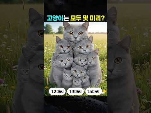 냥이가 몇 마리인지 보인다면 <strong>신의</strong> 눈썰미 !!