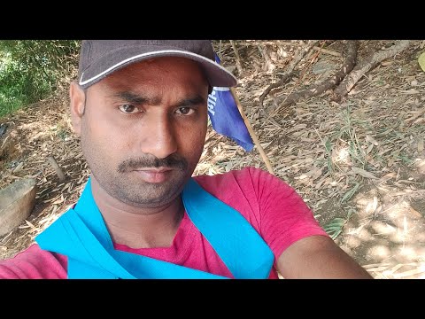 jay bhim namo Buddhay 💙 ambedkar wadi chamar 🩵 bol pachasi jay moolnivasi