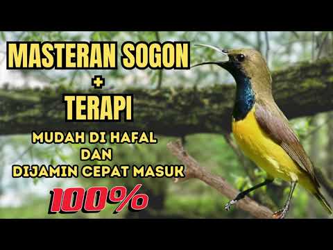 MASTERAN SOGON MATERI MEWAH / FULL ISIAN + TERAPI || Mudah dihafal dan dijamin cepat masuk