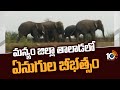 Elephant herd kills one, injures two in Parvathipuram