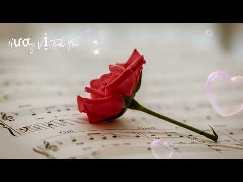 Hương Vị Tình Yêu # Nhạc Hay Mỗi Ngày #