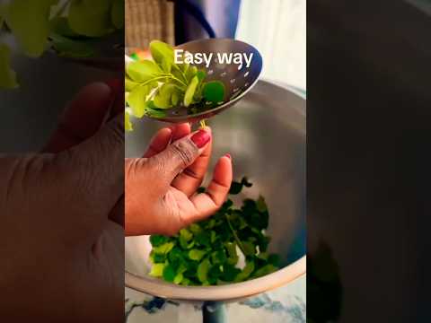 Easy Way..😮‍💨🌿🥬#kitchen#life#hack#Easy#simple#Shorts#youtube#Pls Subscribe 💗##