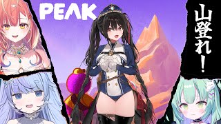 【※体調不良とゲームトラブルにより】緊急、突発、山登り！【PEAK】 #ばぶれいん