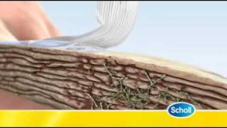 dr scholl's fungal nail revitalizer