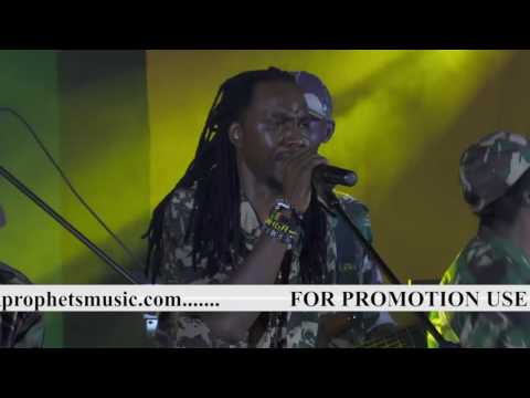 Rob Prophet & The Prophets Music Band - captured live