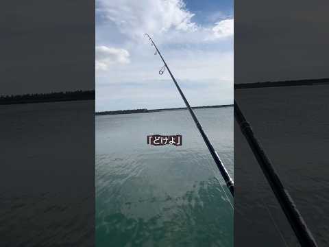 【冗談?】そこ、俺の場所だから。堤防釣りで言われたひと言 #shorts