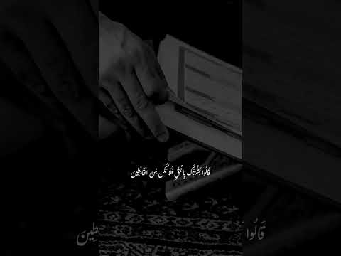 قَالُوا بَشَّرْنَاكَ بِالْحَقِّ فَلَا تَكُن مِّنَ الْقَانِطِينَ❤️ #اشتراك #اكسبلور #لايك 🌹