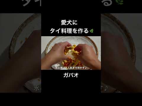 愛犬にタイ料理の「ガパオ」