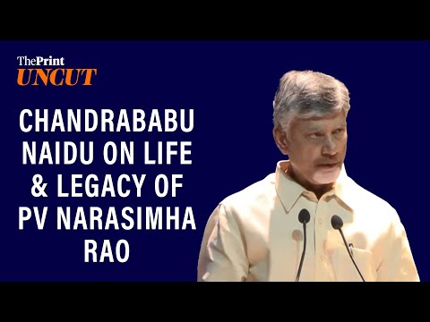 Today we are fighting over whether to learn Hindi, PV Narasimha Rao learnt 17 languages: Andhra CM