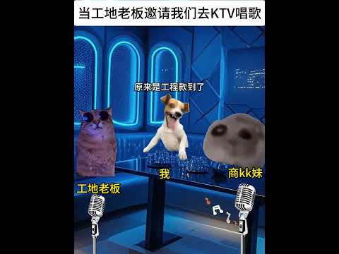 工地老板とKTVでの思い出：意外な結末と猫ミーム紹介 サムネイル