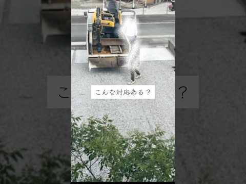 【外構アクシデント】　#外構#外構リフォーム　#後悔しない家づくり