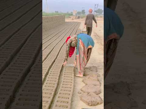 #song #hindisong #love #bollywood #romantic #dance #sadabaharnagme  #sadabahaarnagme #jhankarhits