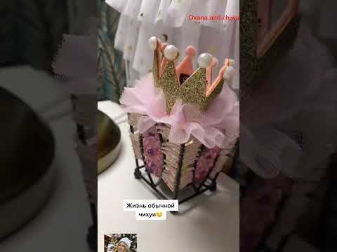 huhu  #собака #chihuahua #chihuahuafanclub #собака #funnyanimal #chiuahua #pets #funny #yourcat