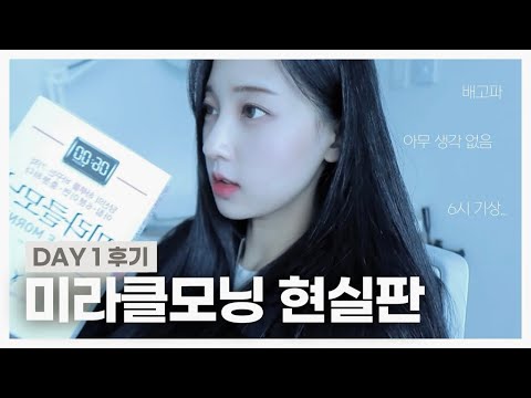 미라클모닝 현실판 브이로그 feat. 오늘비움