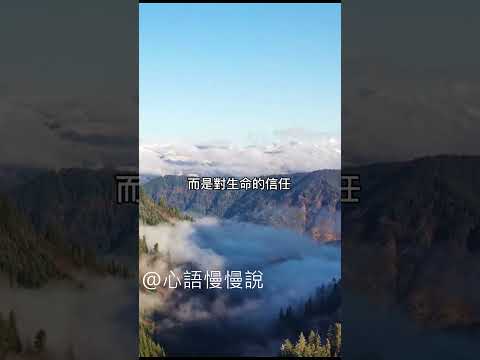 #人生感悟 #正能量 #情感