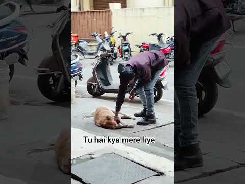 Tu hai kya mere liye ❤️ #music #love #song #coversong #dog