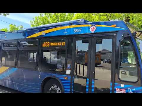 MTA: 2021 Nova LFS #8897 on the Q109 A train shuttle