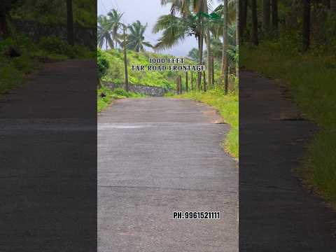 🌿13.5 ACRE LAND FOR SALE🌿#land#property#views#resort#farming#travel#realestate#agriculture#waterfall