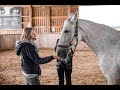 Ausbildung zum pferdegestützten Coach 