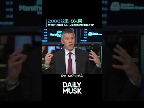 摩根士丹利分析师 Adam Jonas实测：从纽约到密歇根-2000公里特斯拉FSD全程托管，Adam称其为“改变游戏规则的技术”