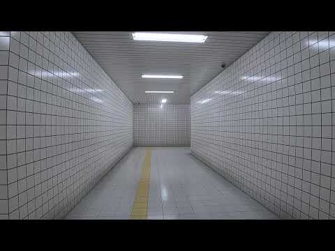 今更初見プレイ『8番出口』をやる