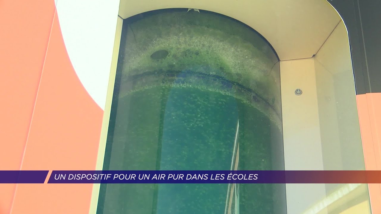 Yvelines | Un dispositif pour un air pur dans les écoles