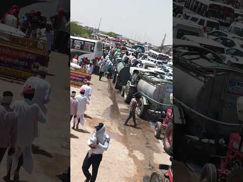 पलाना रैली