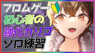 【  #ナイトレイン  】フロムゲー初心者が強化カリゴ地変無しソロ練習🐈【 #vtuber  】