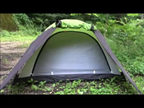 自分の山でライトトラップしらたヤバかった