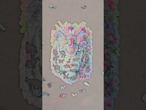 video screenshot