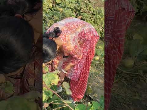 mitwa music/apne bado k contact me raho/viral shorts/trending videos #viral #shorts #trending