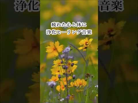 ストレス、不安、憂鬱を和らげる 瞑想音楽, 癒しの音楽, 浄化音楽 - 心と体を癒します - ヒーリングフルート #shorts  #浄化ヒーリング音楽 #癒し