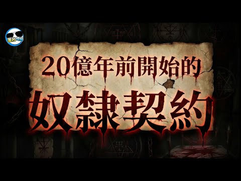 脆弱者嚴禁觀看！【魔鬼交易的開始 - 古細菌與粒線體】用諾貝爾獎等級的學說，來揭開你不敢面對的殘酷黑暗真相...一場20億年前就開始的奴隸契約